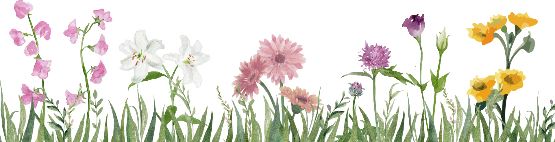 花のイラスト