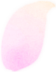花びらのイラスト