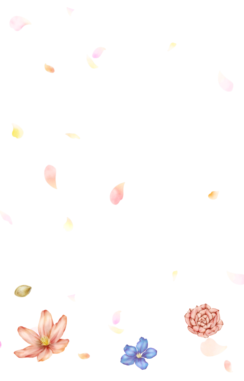 種、花、花びらのイラスト